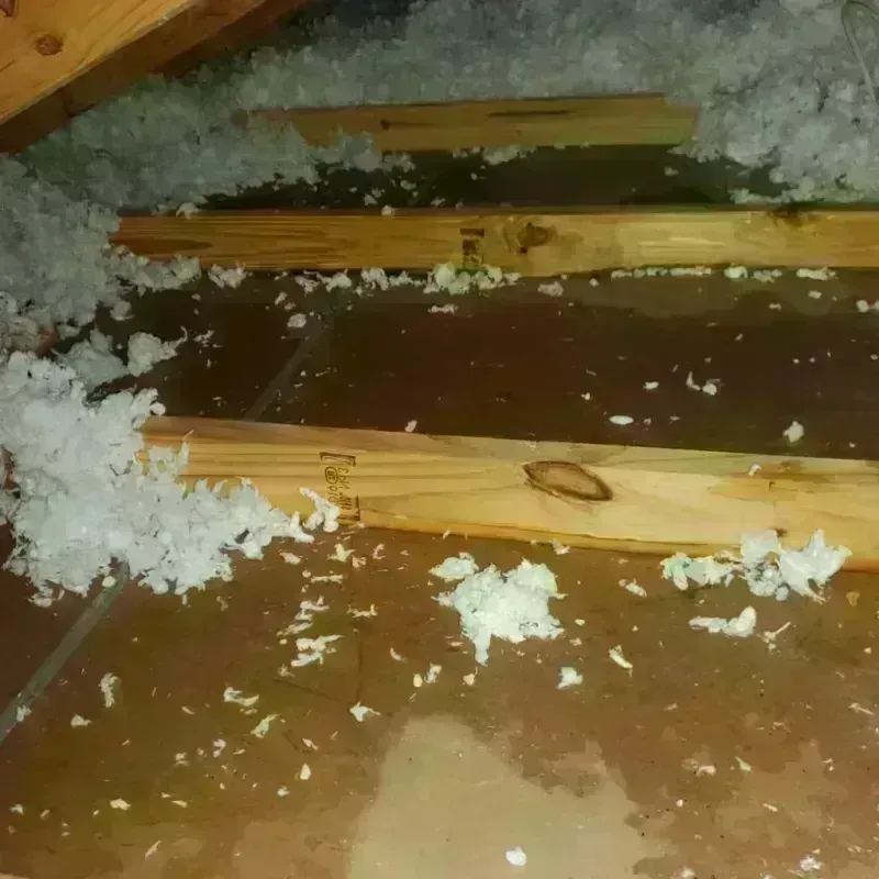 Attic Water Damage in South Rockwood, MI